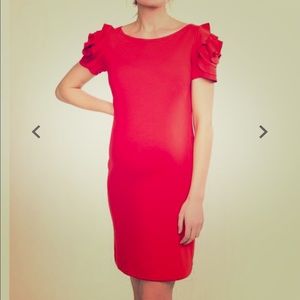 Maternity Dress- designer Pietro Brunelli